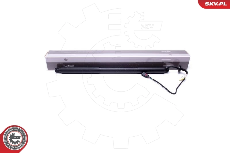 Electric Motor, tailgate